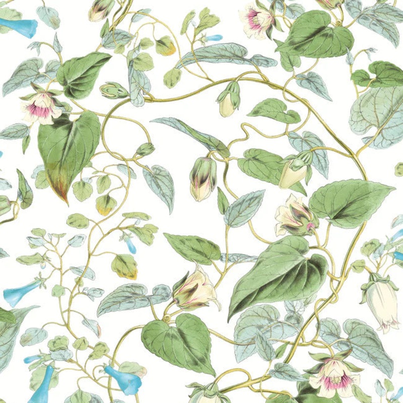 BL1711 Moon Flower White Wallpaper