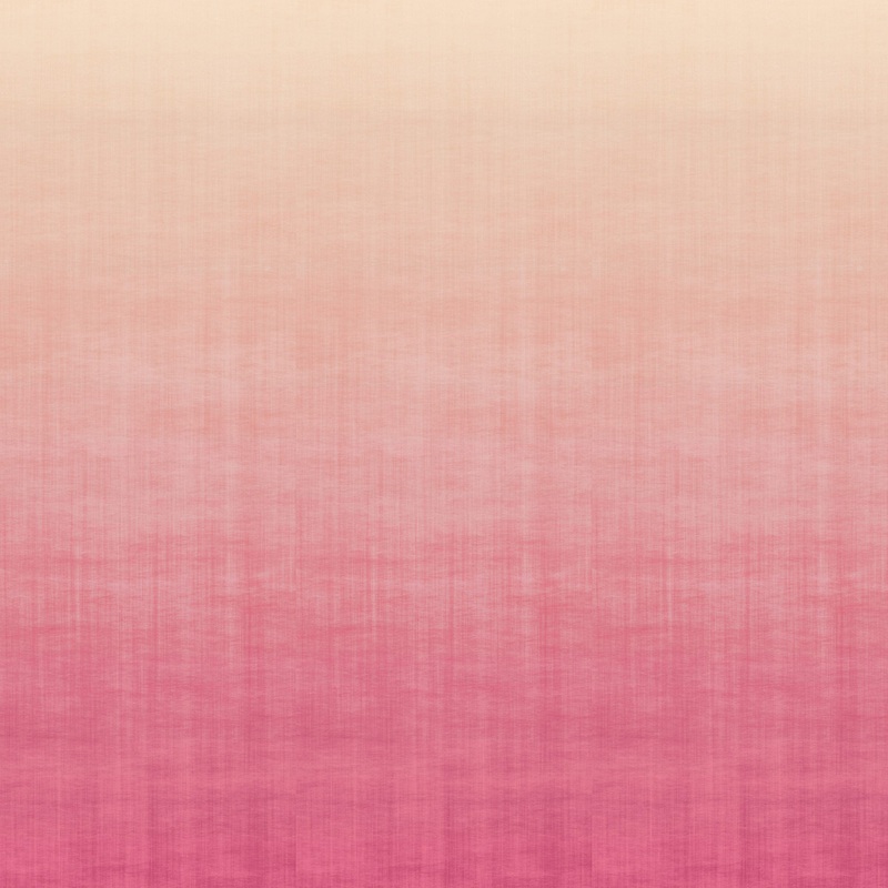 9230 43WS131 Ombre Luxury Mural Wallpaper