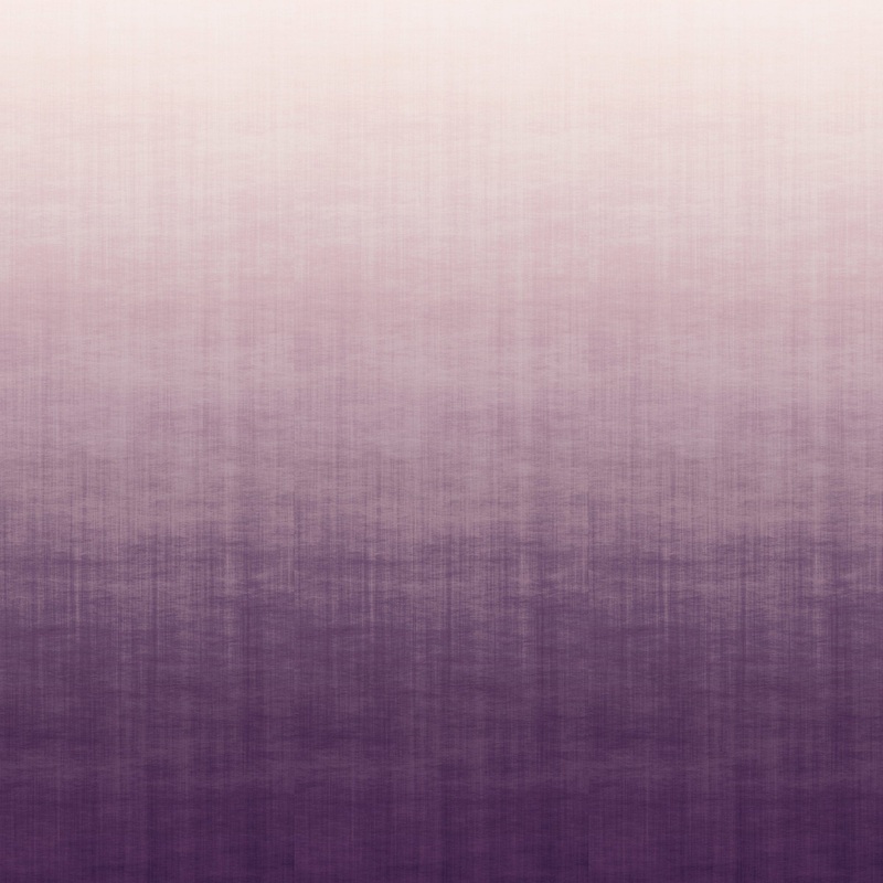 9230 57WS131 Ombre Luxury Mural Wallpaper