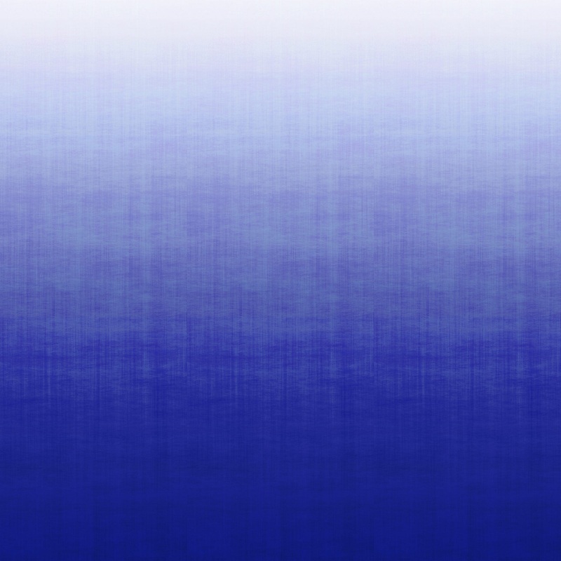 9230 59WS131 Ombre Luxury Mural Wallpaper