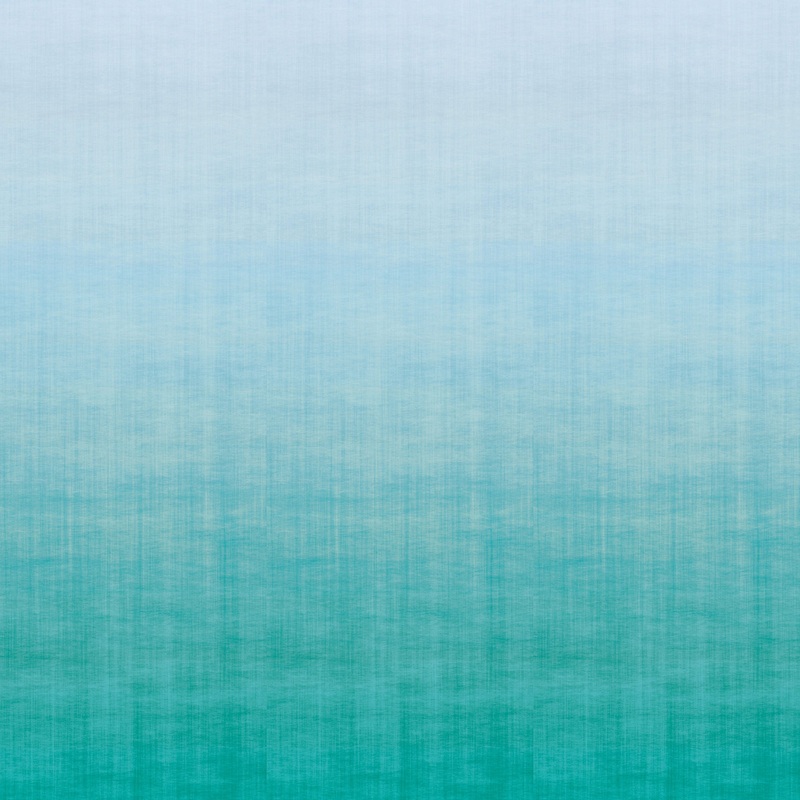 9230 67WS131 Ombre Luxury Mural Wallpaper