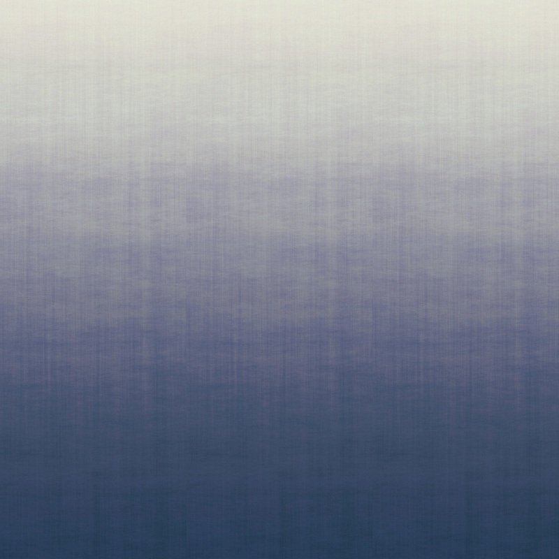 9230 69WS131 Ombre Luxury Mural Wallpaper