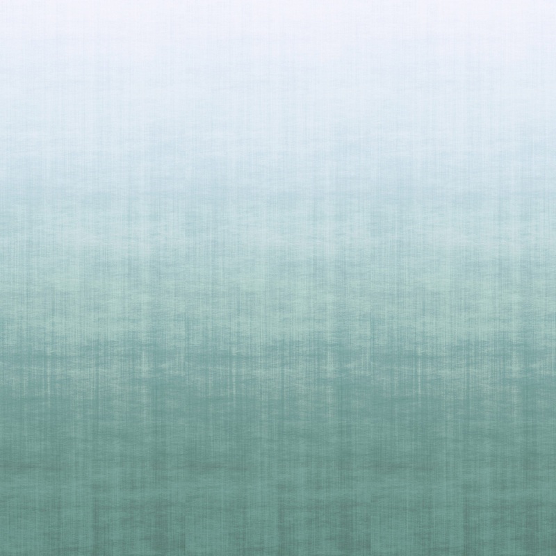 9230 73WS131 Ombre Luxury Mural Wallpaper