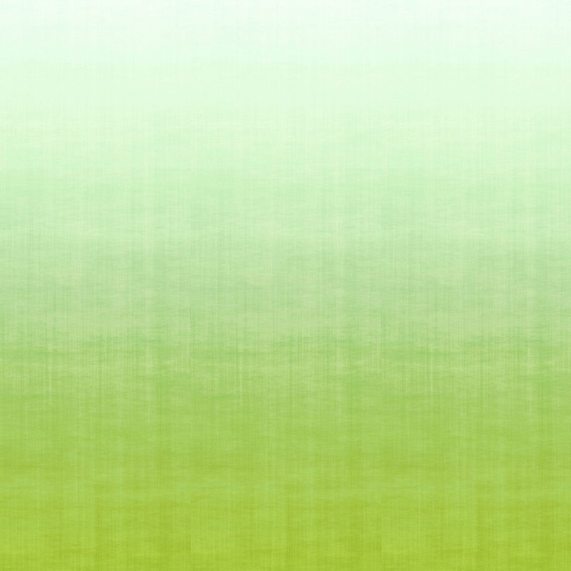 9230 74WS131 Ombre Luxury Mural Wallpaper